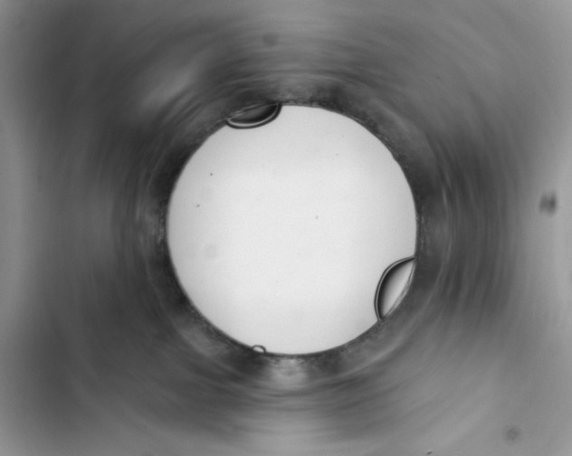 X0000103400091200810031234