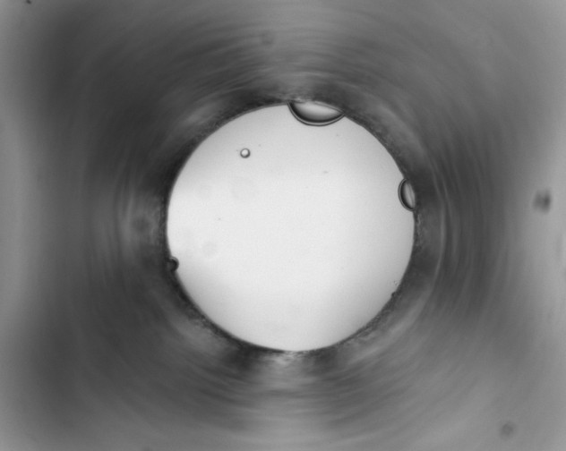 X0000103400092200810031234