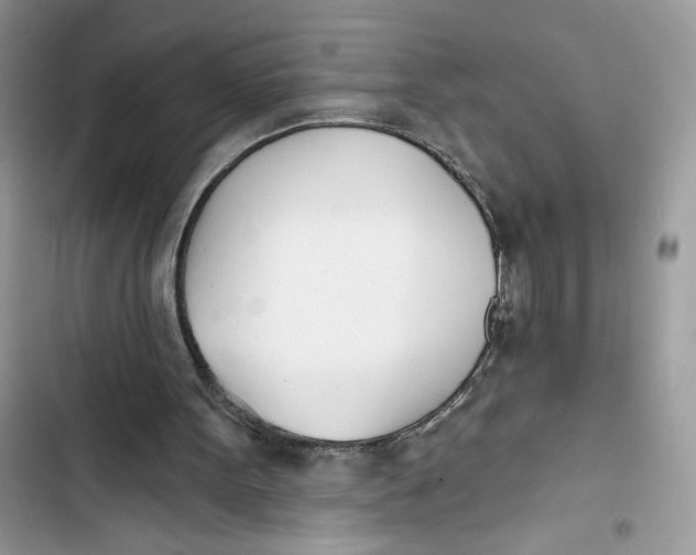 X0000103400099200810031233