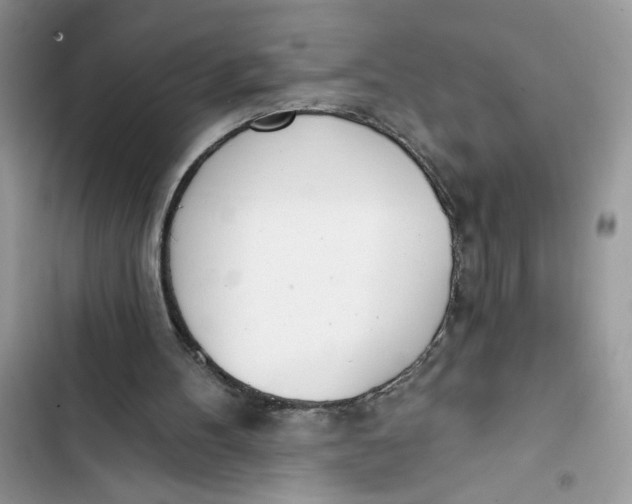 X0000103400100200810031233