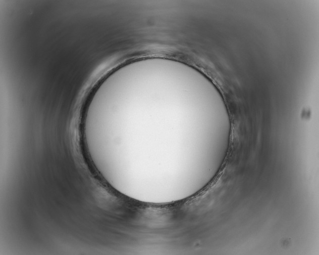 X0000103400101200810031233