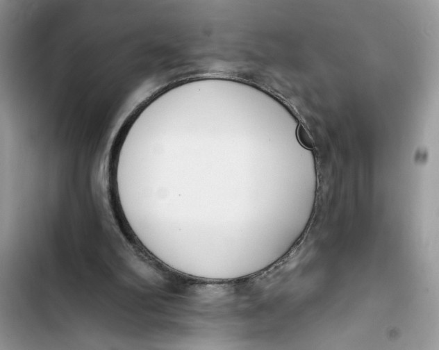 X0000103400102200810031233