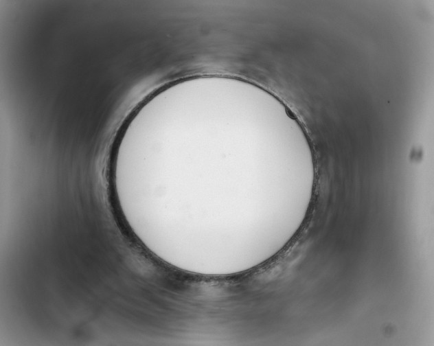 X0000103400103200810031233