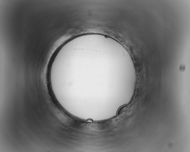 X0000103400104200810031233