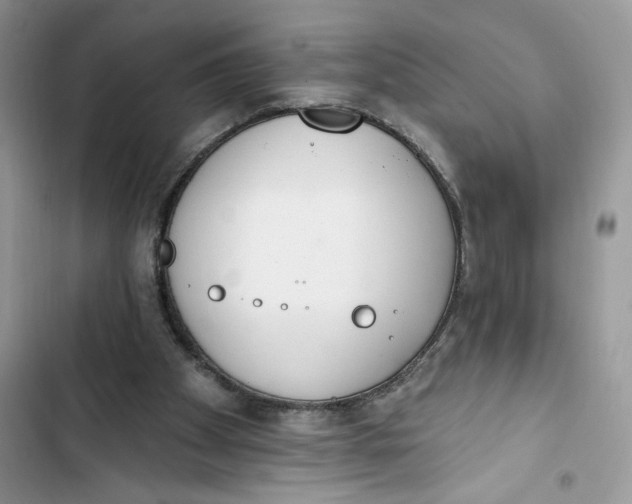 X0000103400105200810031233