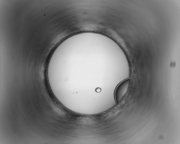 X0000103400106200810031233