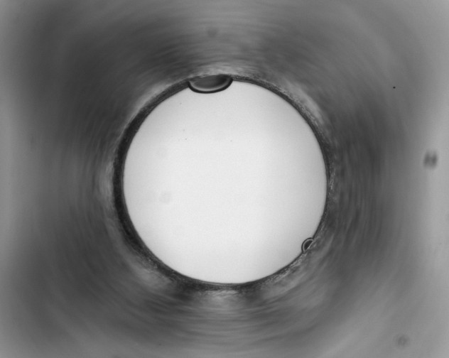 X0000103400108200810031233