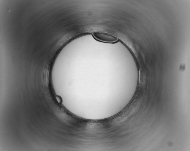 X0000103400109200810031233