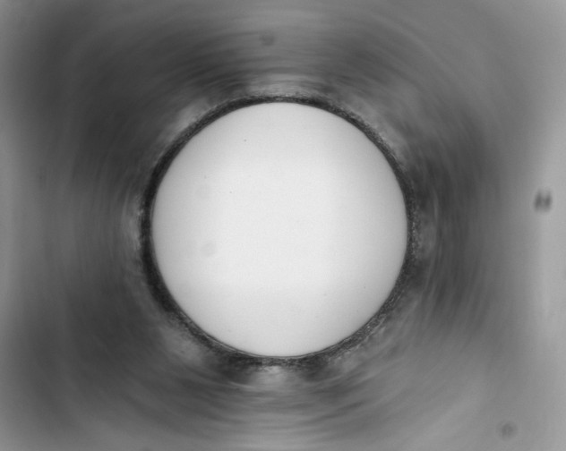 X0000103400111200810031233