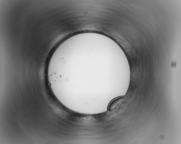 X0000103400112200810031233