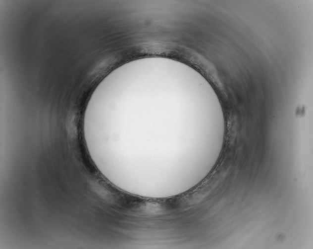 X0000103400114200810031233