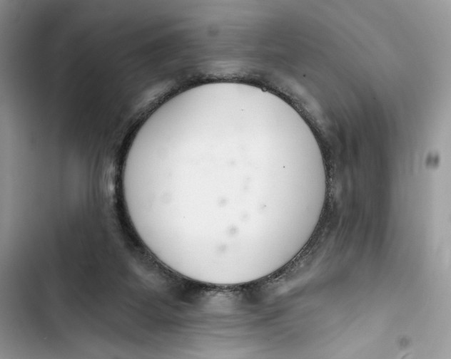 X0000103400115200810031233