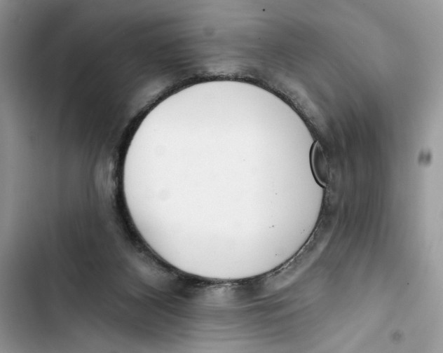 X0000103400116200810031233