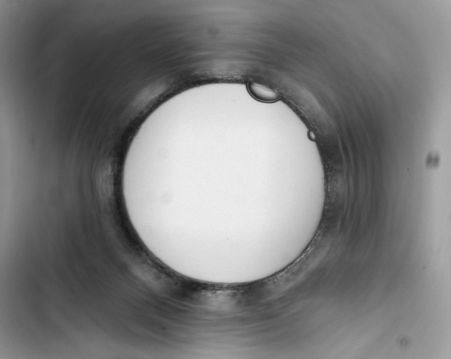 X0000103400120200810031233