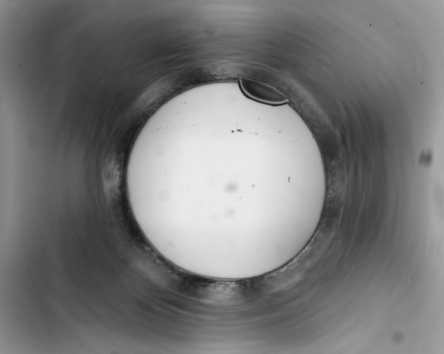 X0000103400124200810031233