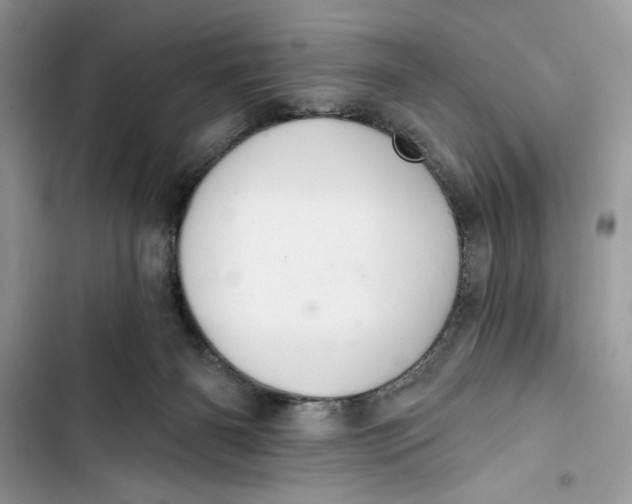 X0000103400126200810031233