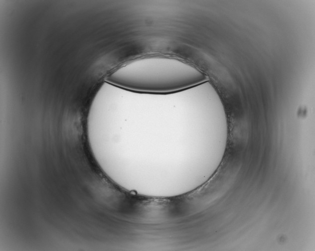 X0000103400128200810031232