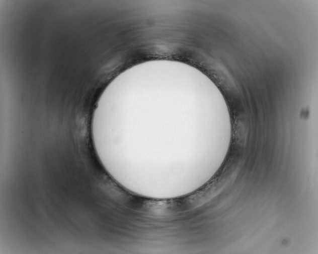 X0000103400131200810031232