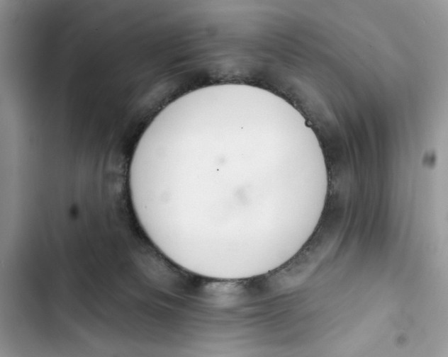 X0000103400133200810031232