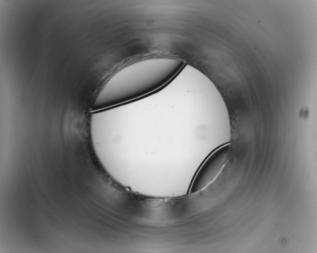 X0000103400136200810031232