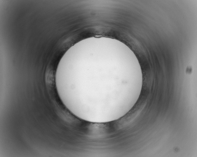 X0000103400137200810031232