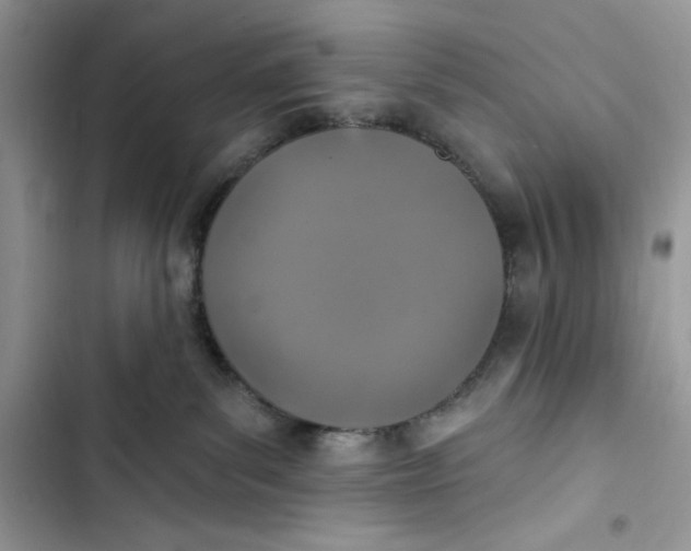 X0000103400139200810031232