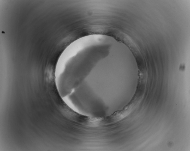 X0000103400143200810031232