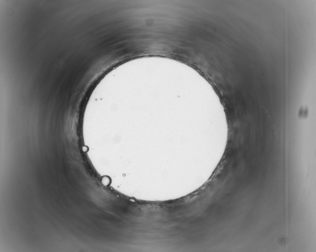 X0000103400146200810031232