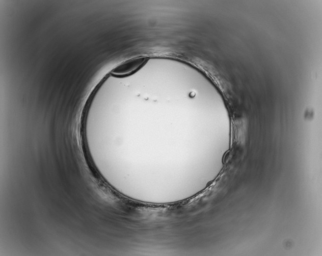 X0000103400147200810031232