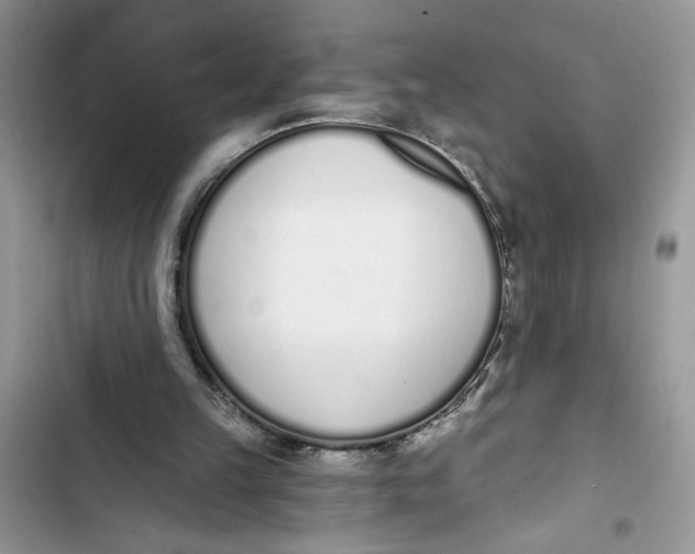 X0000103400149200810031232