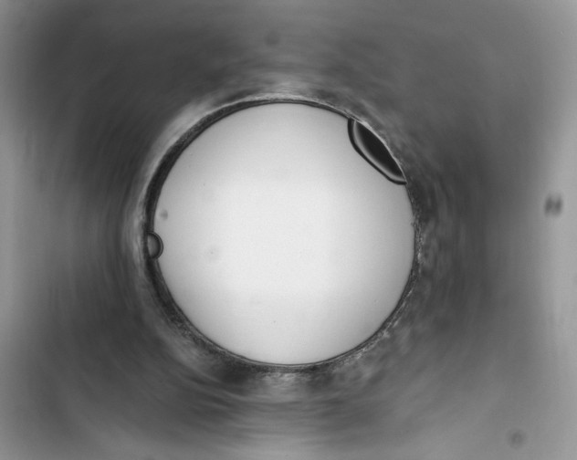 X0000103400152200810031232