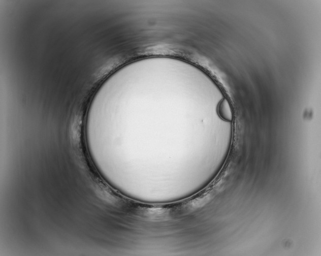 X0000103400153200810031232