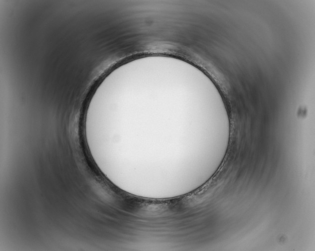 X0000103400155200810031232