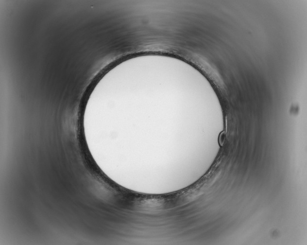 X0000103400156200810031232