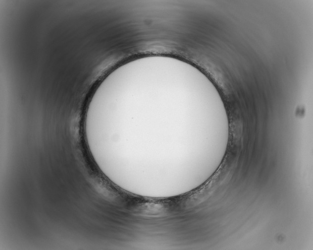 X0000103400159200810031232