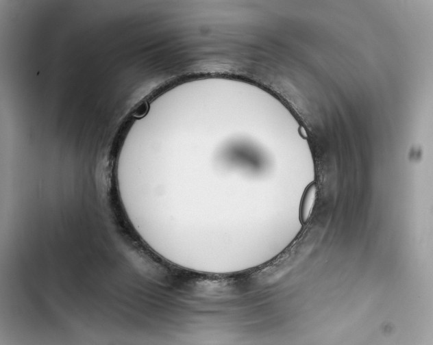 X0000103400160200810031232