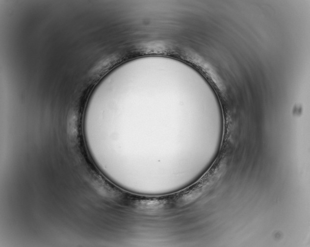 X0000103400161200810031232