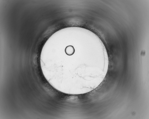 X0000103400162200810031232