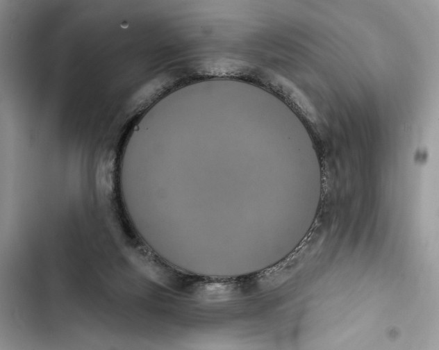 X0000103400163200810031232