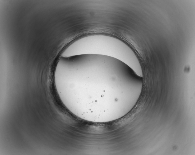 X0000103400164200810031232