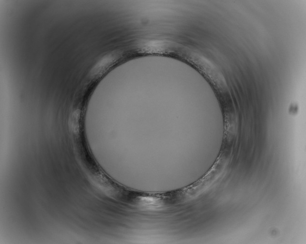 X0000103400167200810031232