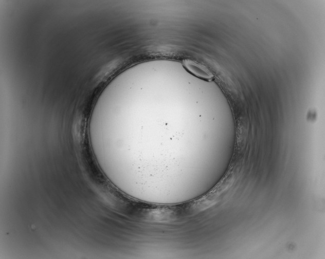 X0000103400168200810031232