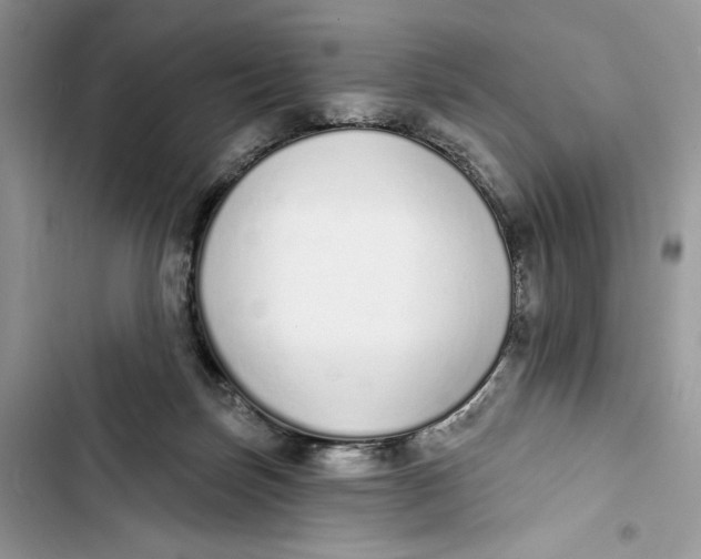 X0000103400171200810031232