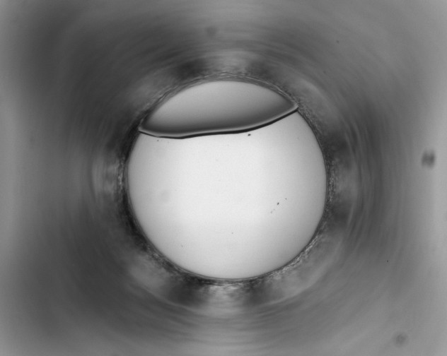 X0000103400172200810031232