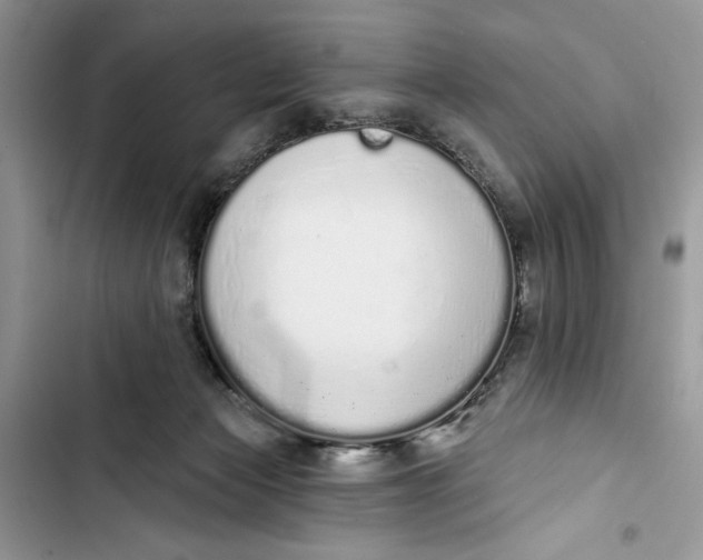 X0000103400173200810031232