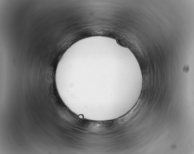 X0000103400174200810031232