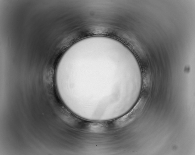 X0000103400175200810031232