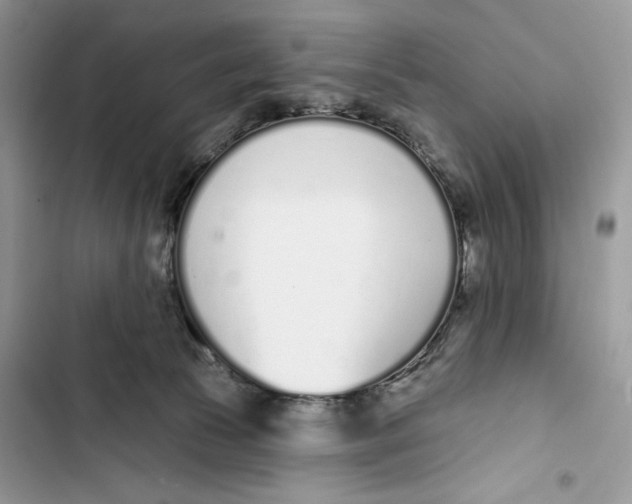 X0000103400177200810031232