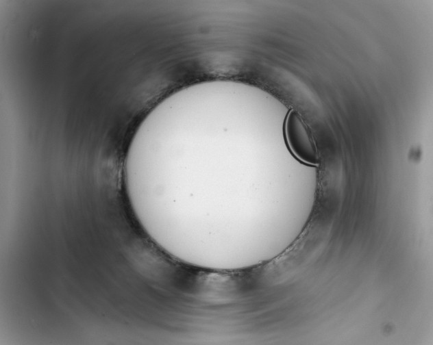 X0000103400180200810031232