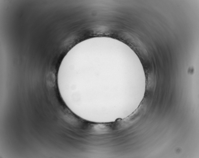 X0000103400183200810031232